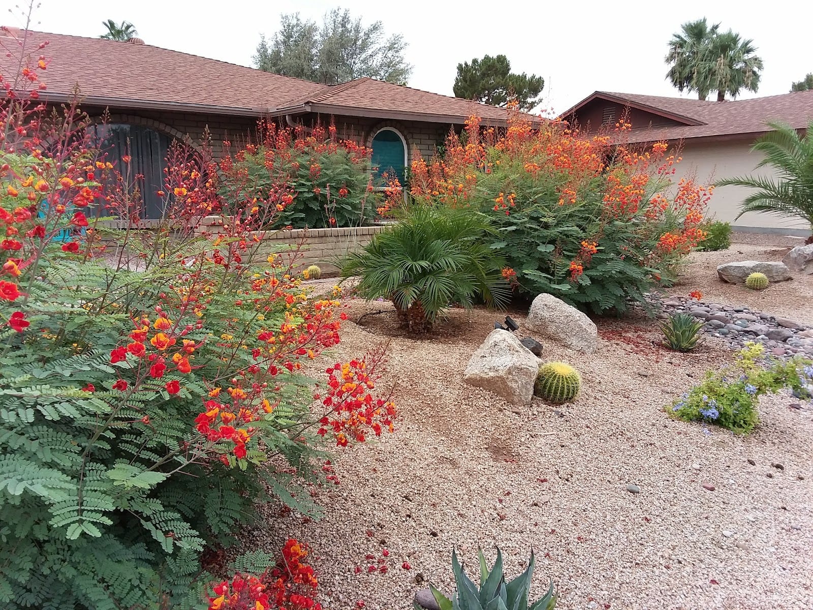 Shoshone Park