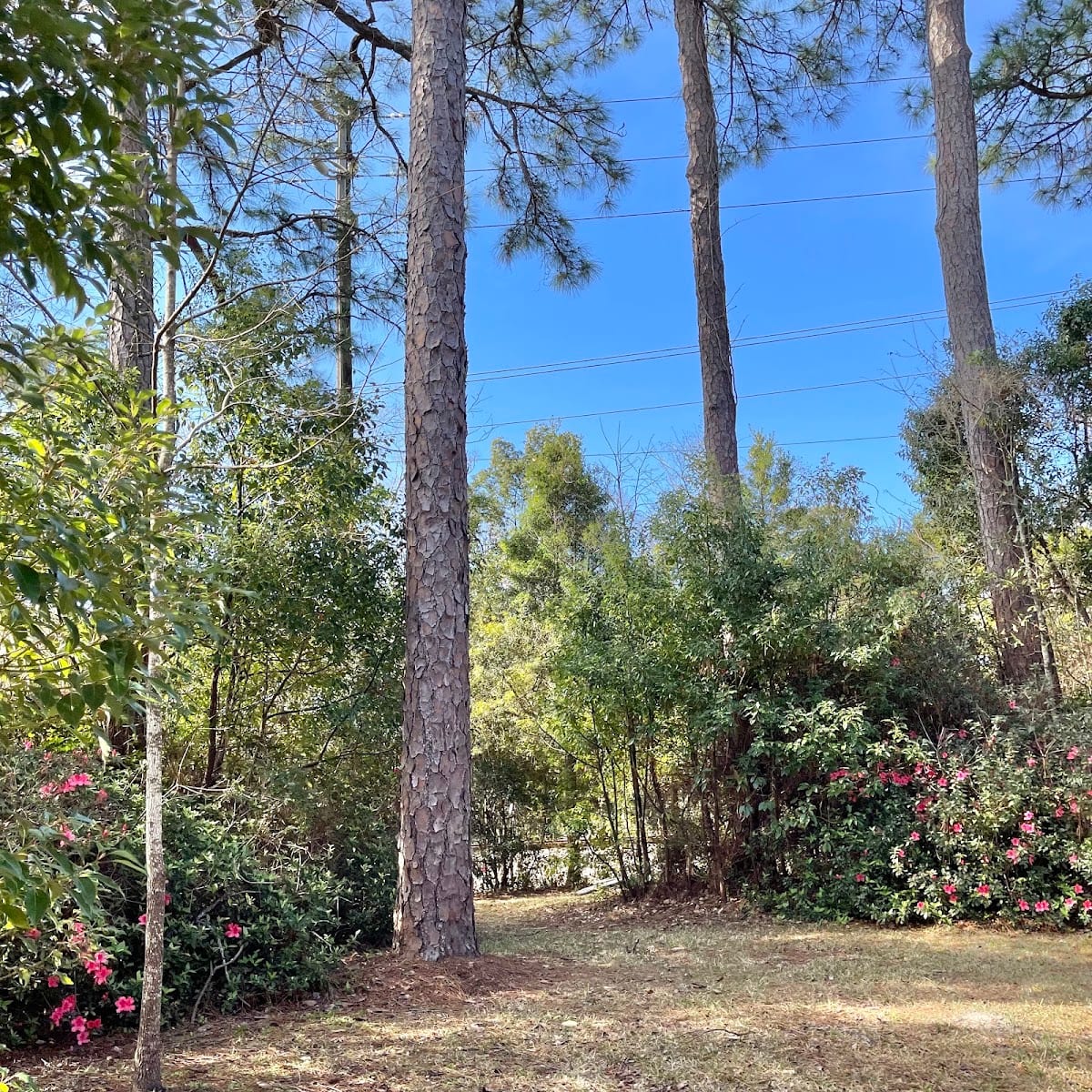 Glenwood Park