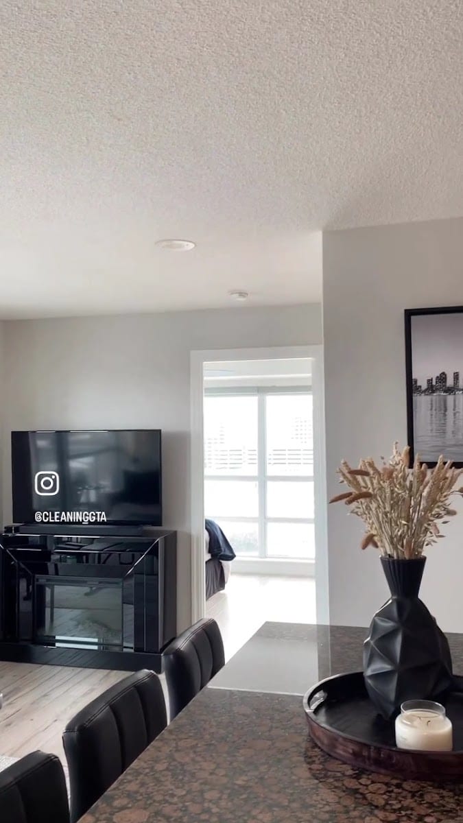 Cleaning Services GTA, photo 3