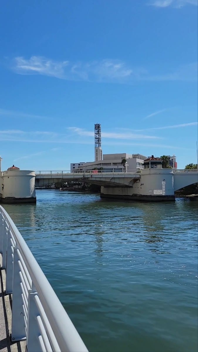 Tampa Riverwalk at Curtis Hixon Waterfront Park, photo 3