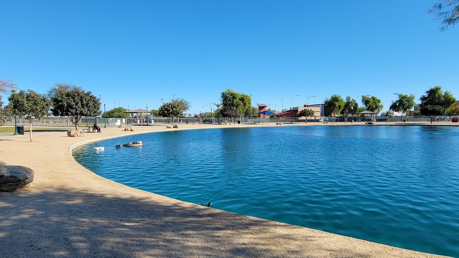 Chaparral Park Softball Fields, photo 3