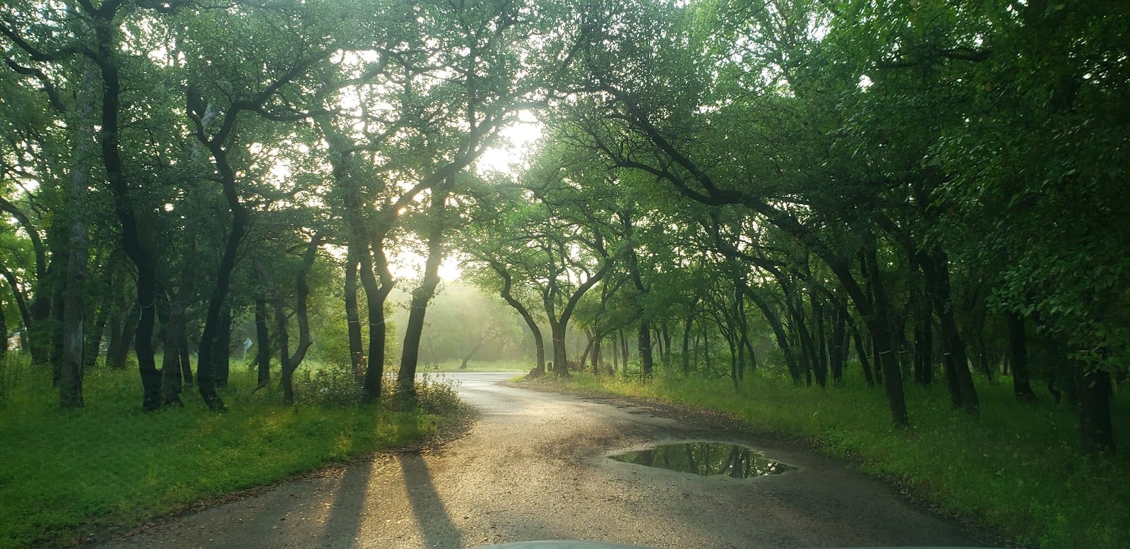 McNeil Park, photo 3
