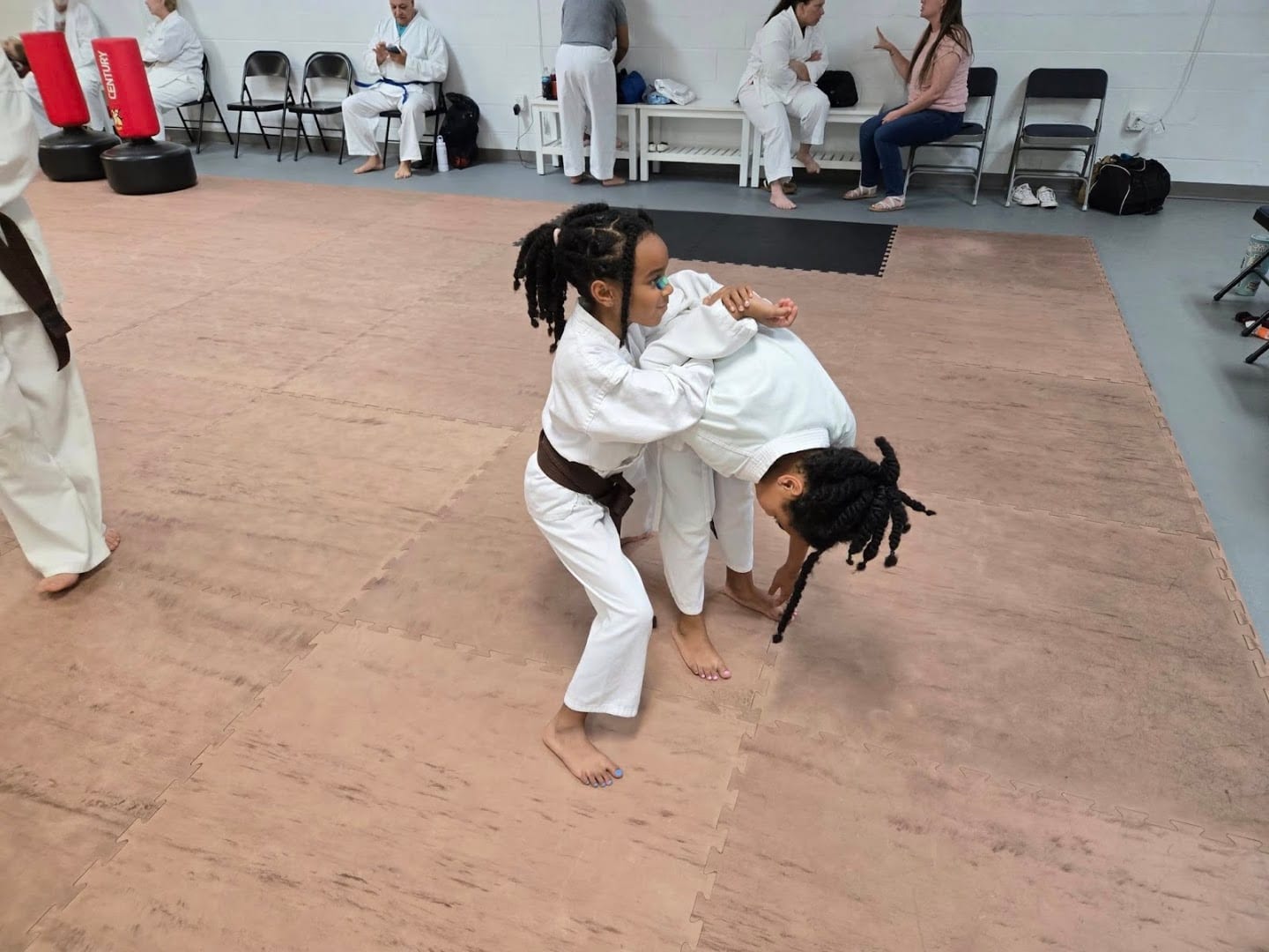 The Wado Ryu Dojo, photo 3