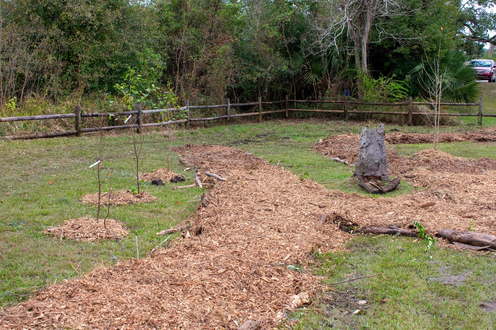 C.M. Kidd Harris Community Food Forest Park
