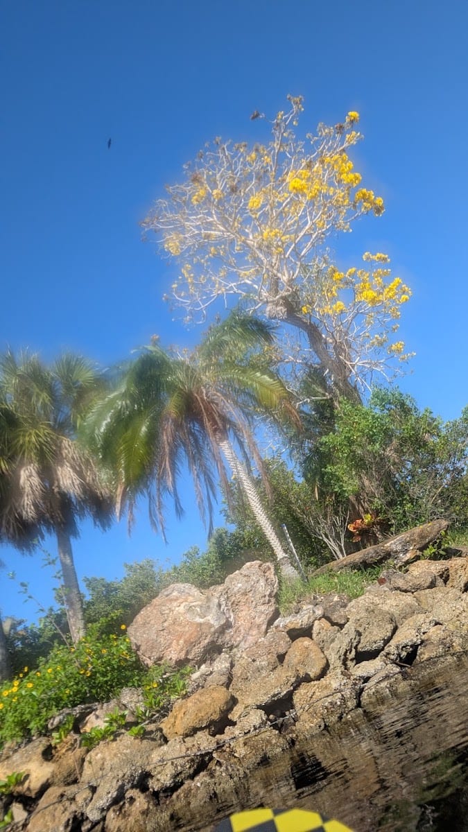 Darst Park, photo 2