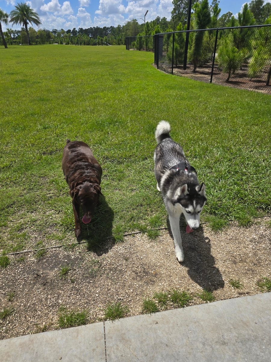 Bark Park