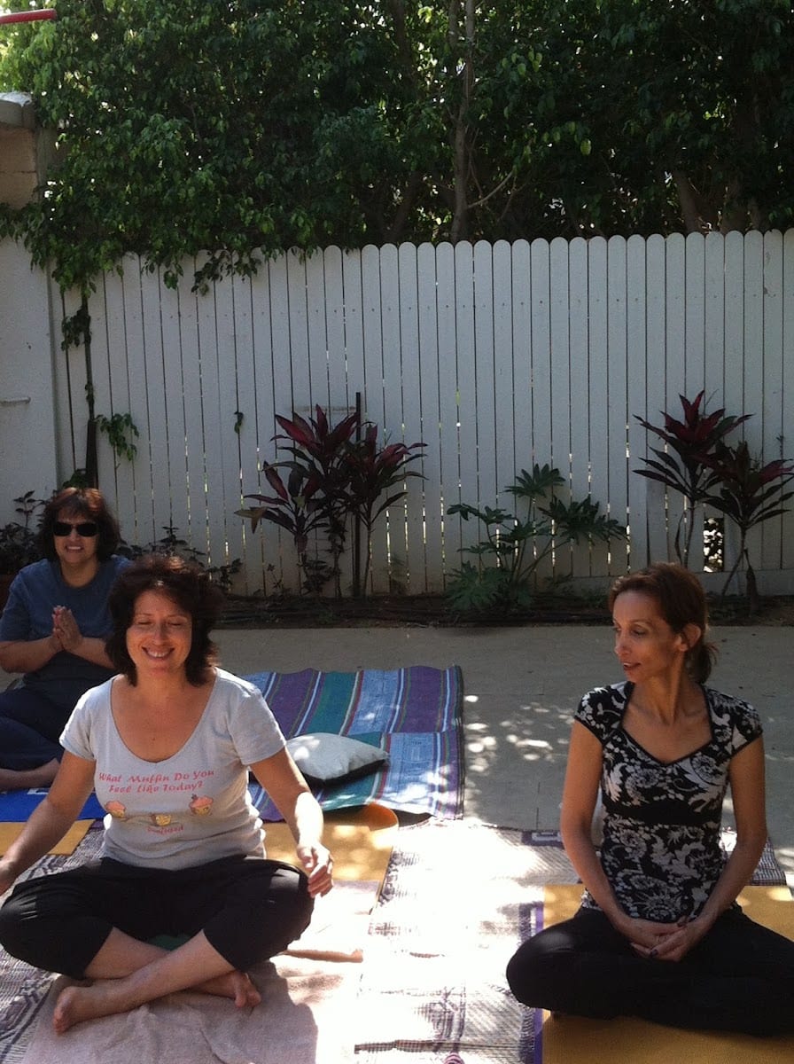 Stacey Landau - Breathwork Teacher & Yoga Therapist, photo 4