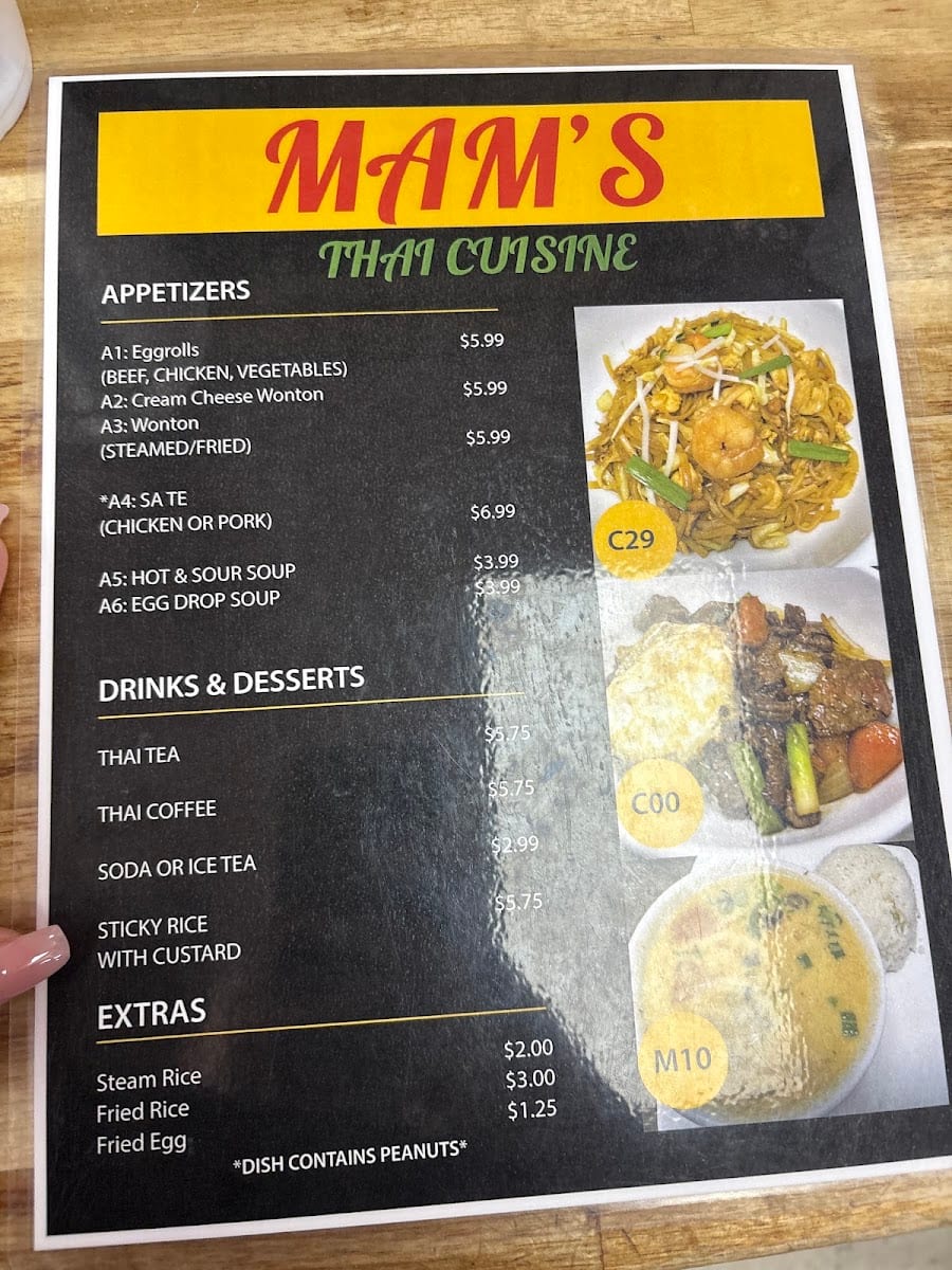 Mam’s Thai Cuisine, photo 2
