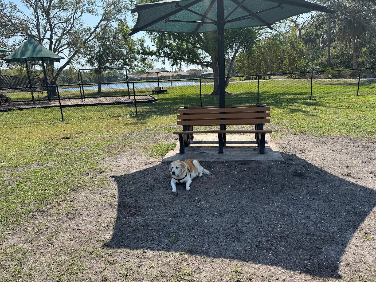 Blue Heron Park