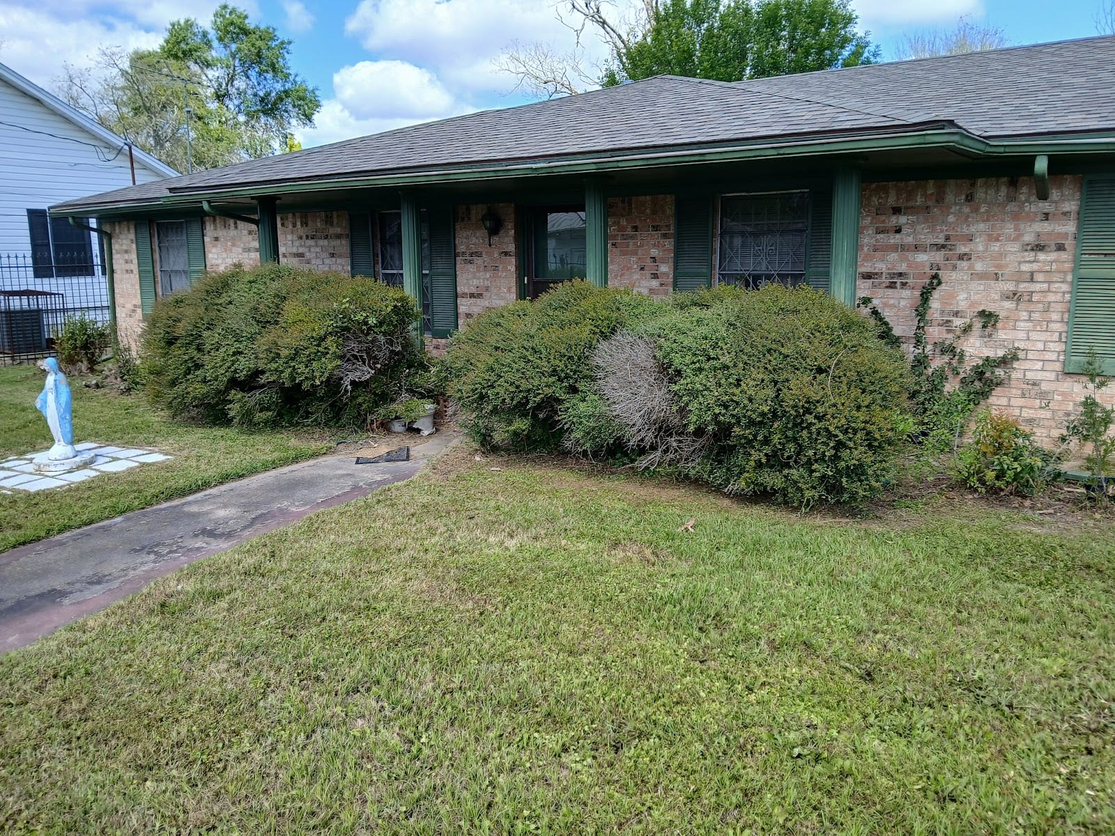 True Green lawn care, photo 2