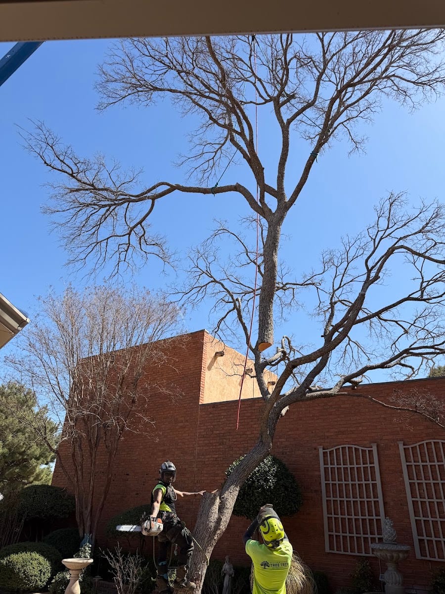 Hildebrandt Tree Tech - SavATree
