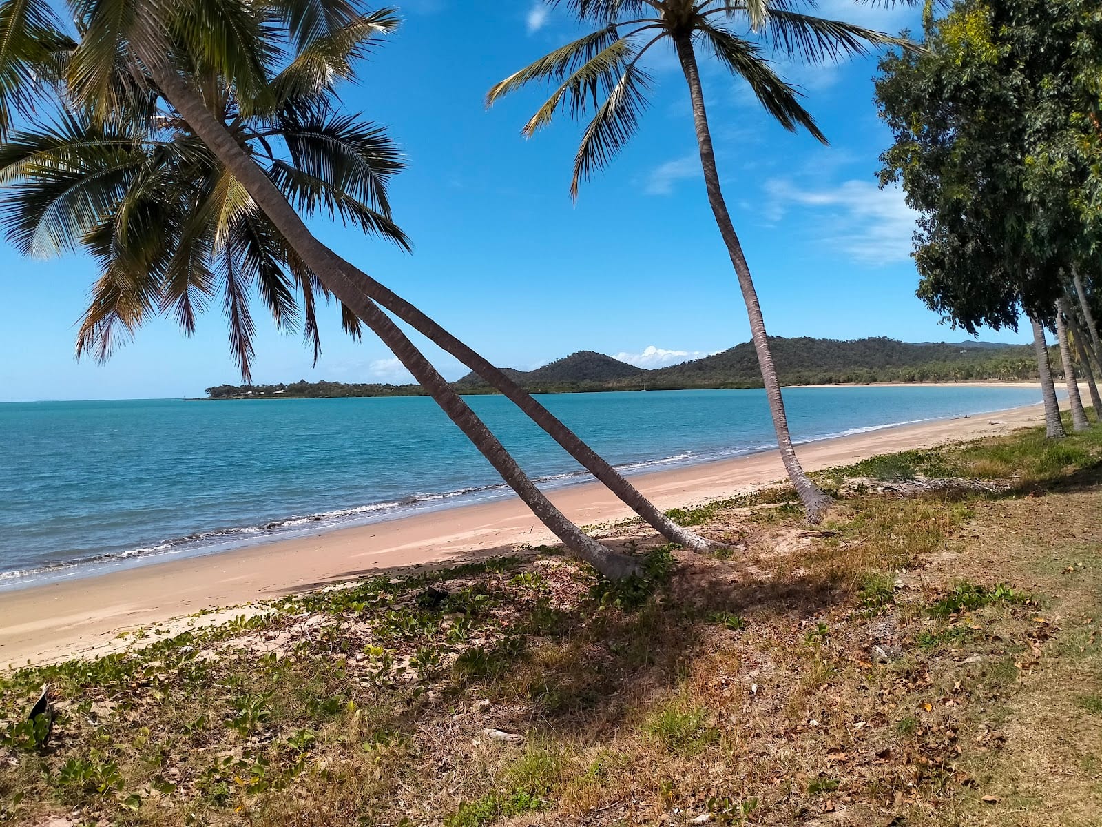 Seaforth Beach