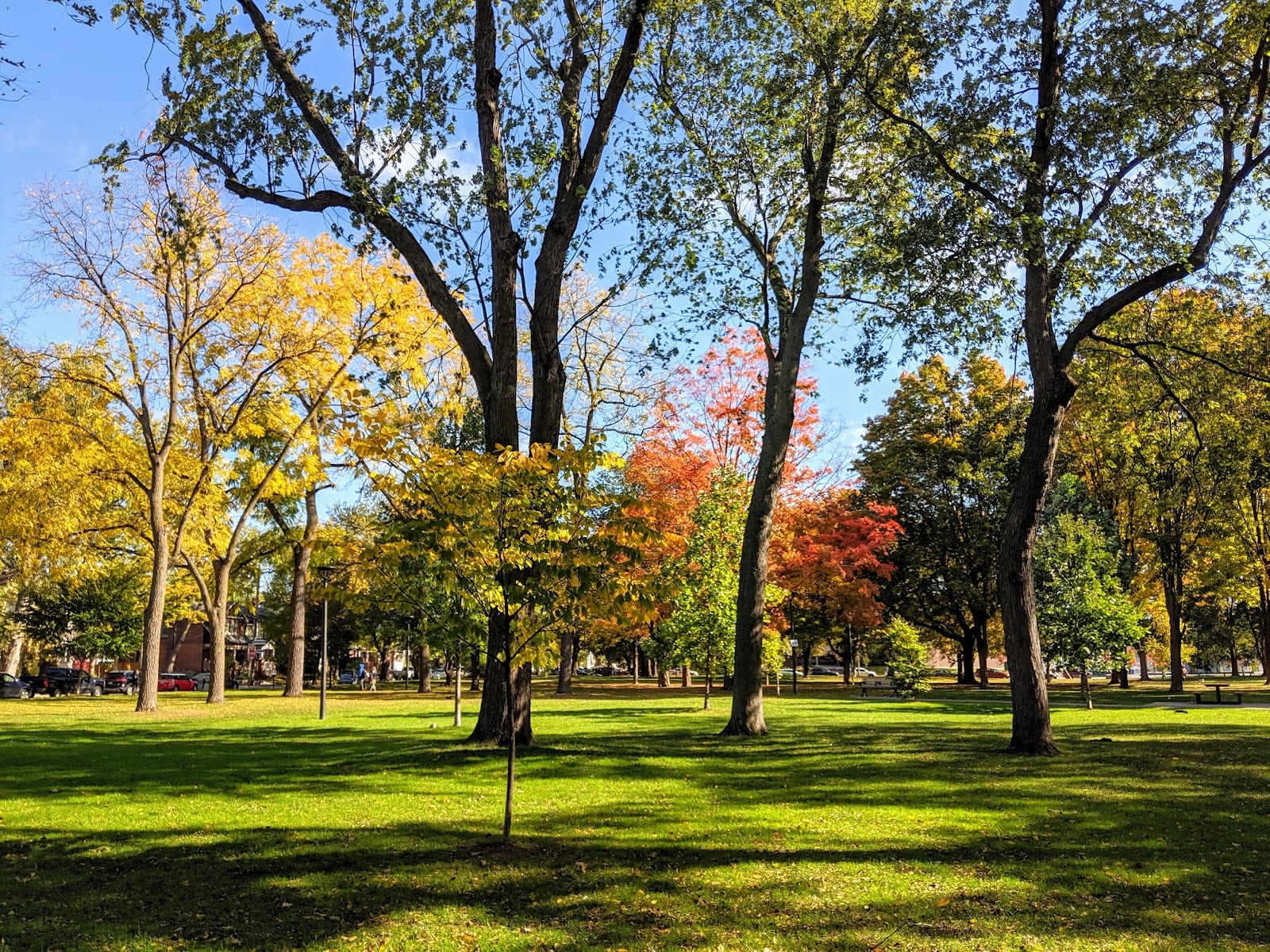 Monarch Park