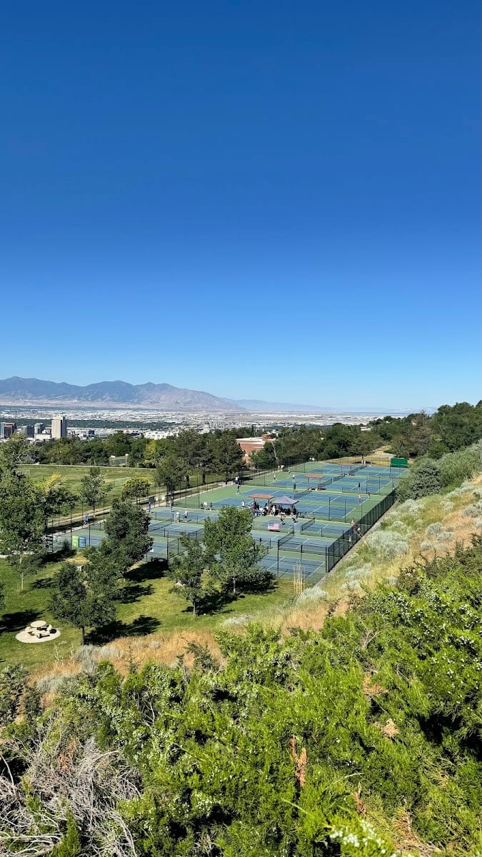 Tennis court