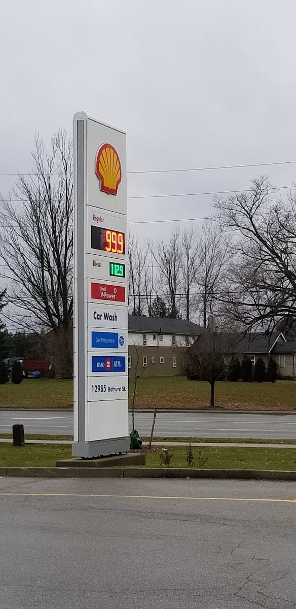 Shell, photo 4