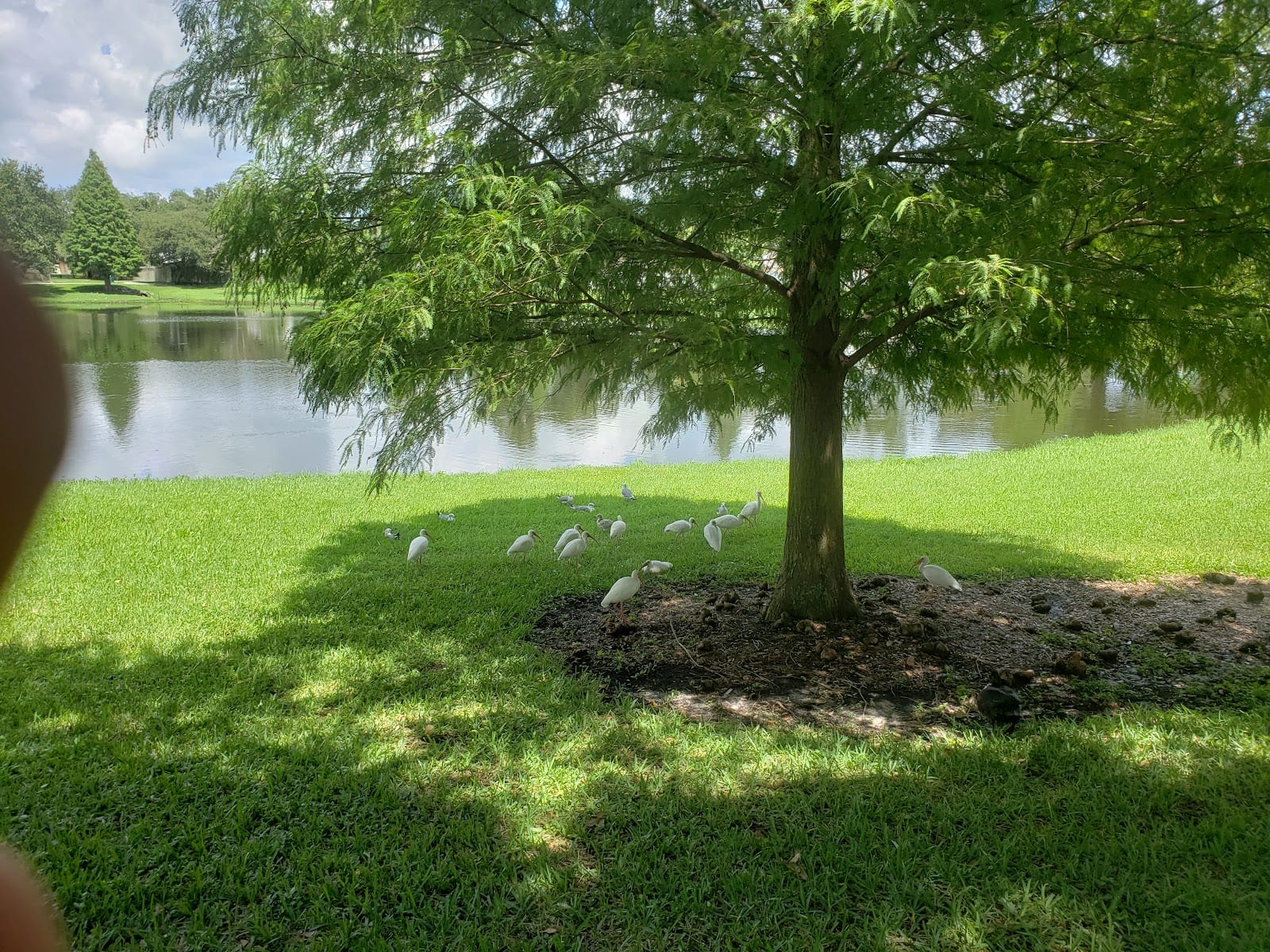 Ragan Park