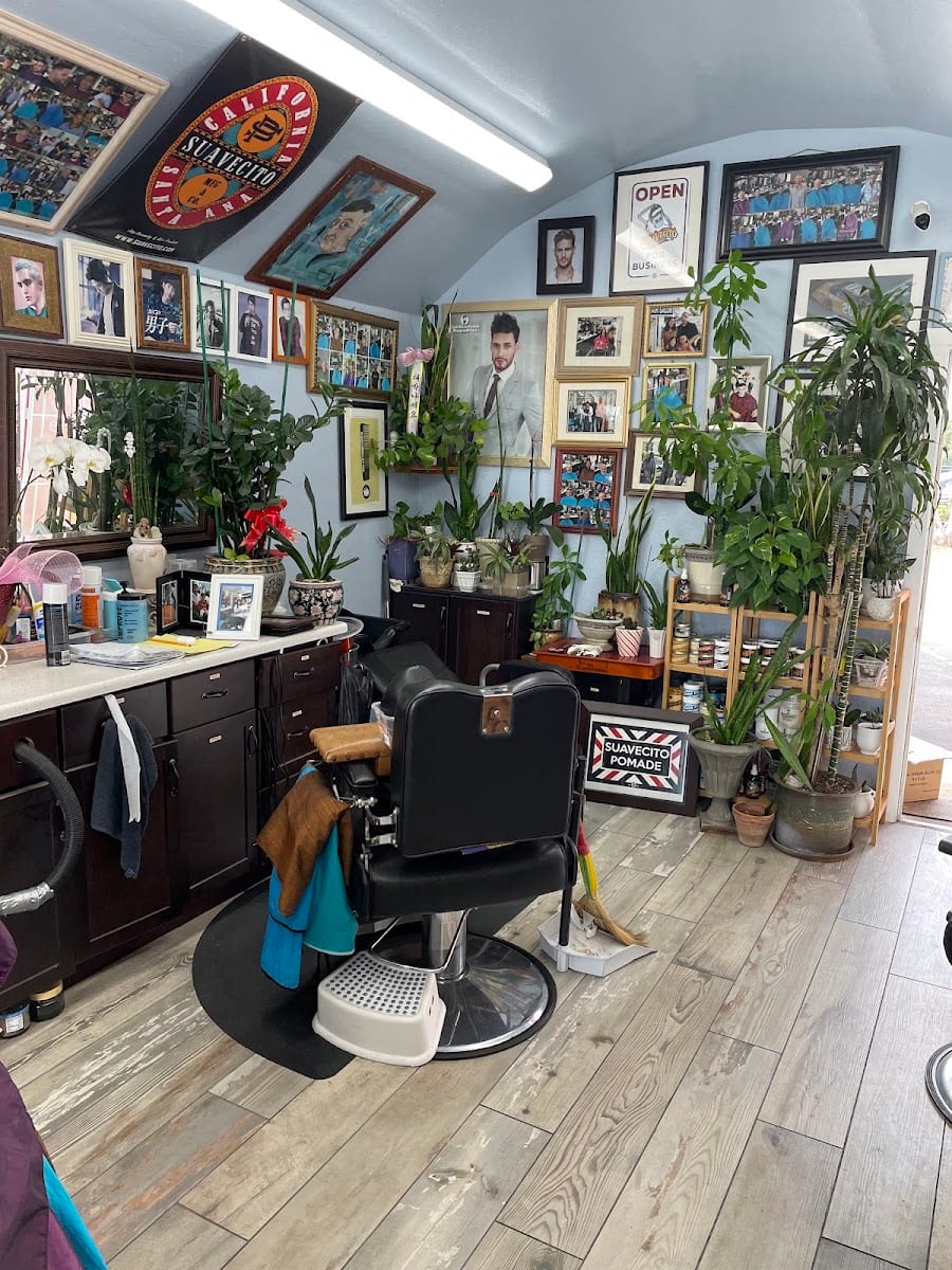 Sunny's Barber Shop, photo 2