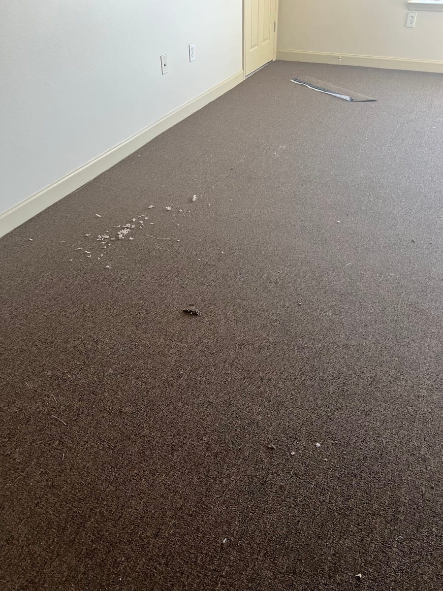 Light House Cleaning Company LLC, photo 4