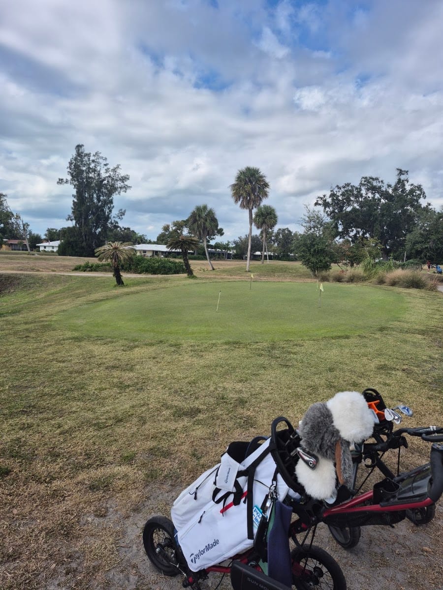 Village Green Golf Club, photo 3