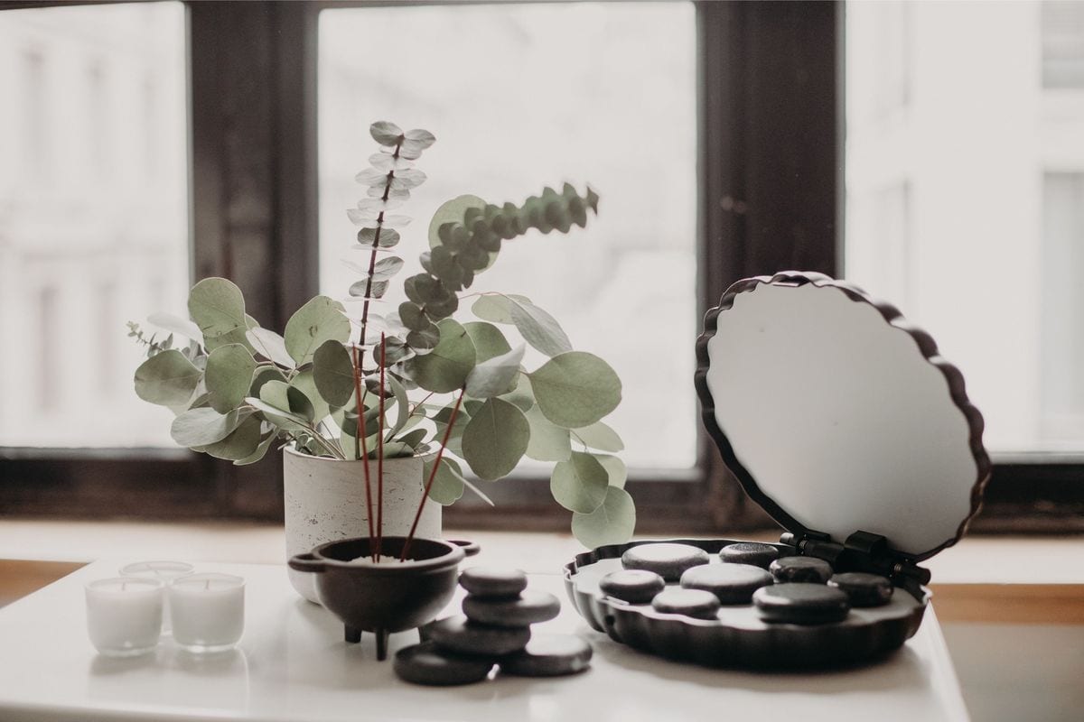 Vine Massage Co., photo 3