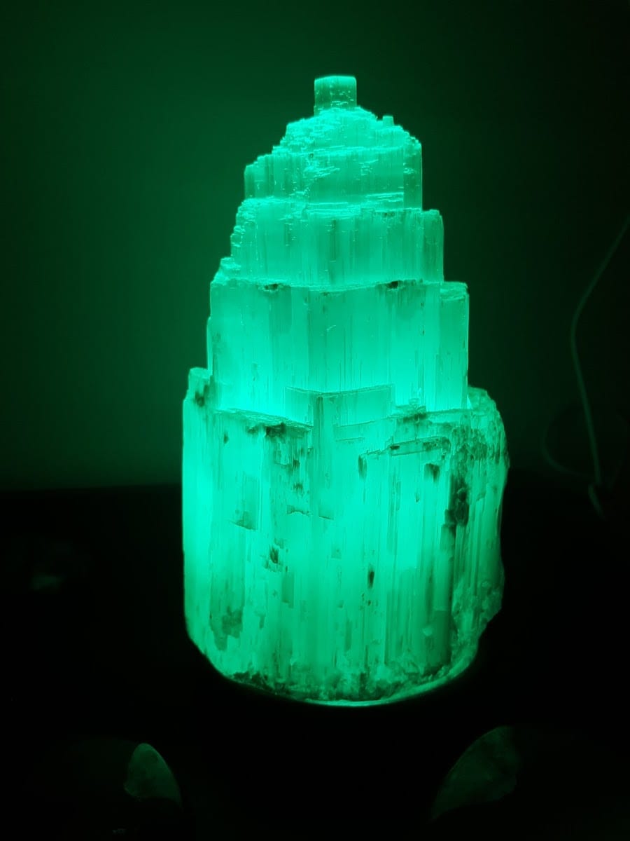 The Healing Body, photo 3