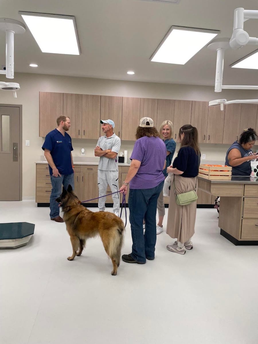 Healing Hearts Animal Urgent Care, photo 3