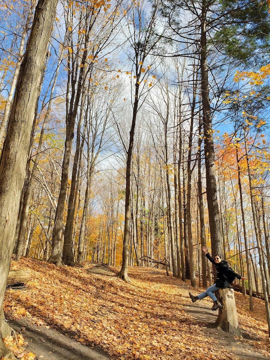 Betty Sutherland Trail Park