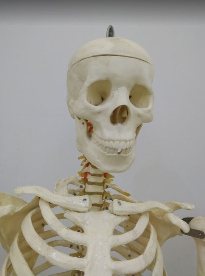 Back Pain Solutions, photo 4