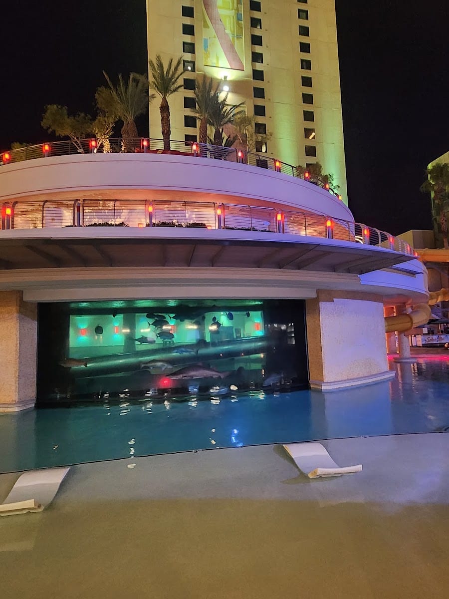 H20 Bar at the Tank