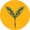 Yellow Spruce Roasters & Wine Bar