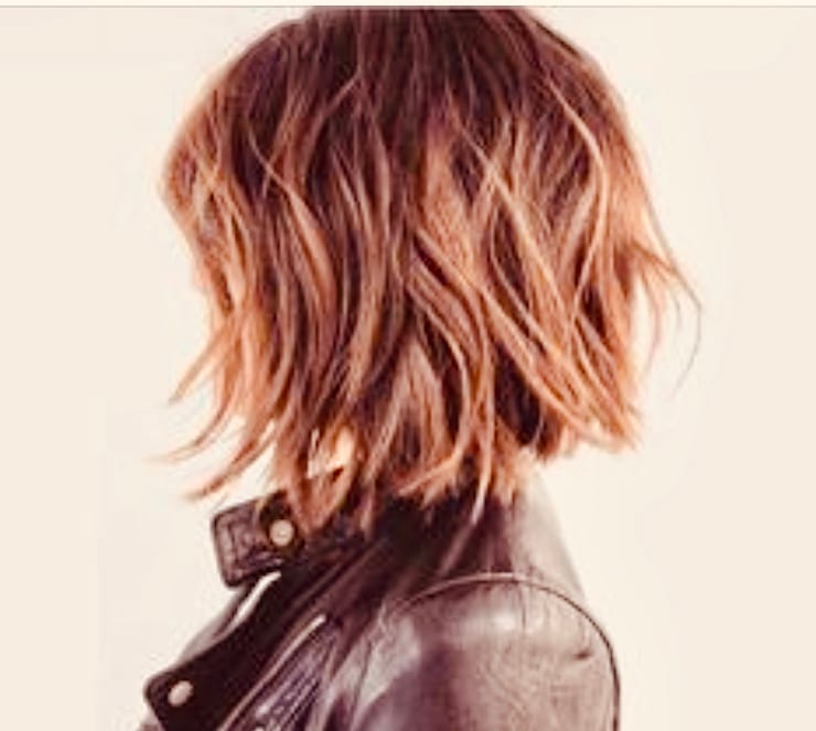 Sarasota Home Haircuts