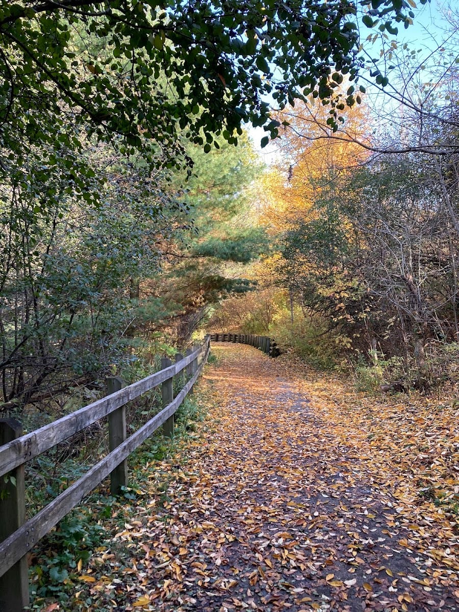 Trans-Richmond Trail Viewpoint Area