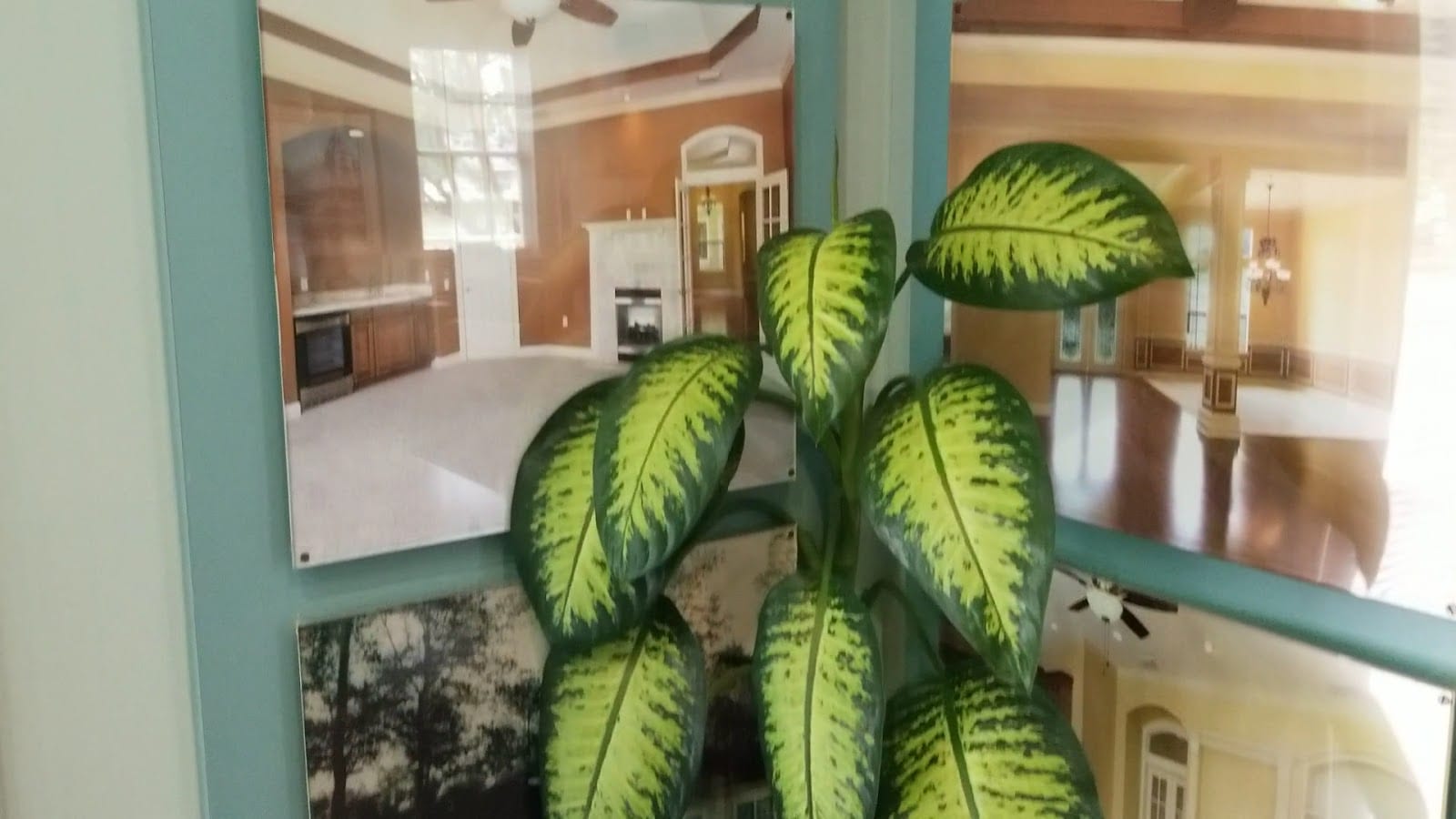 EXIT Magnolia Point Realty, photo 3