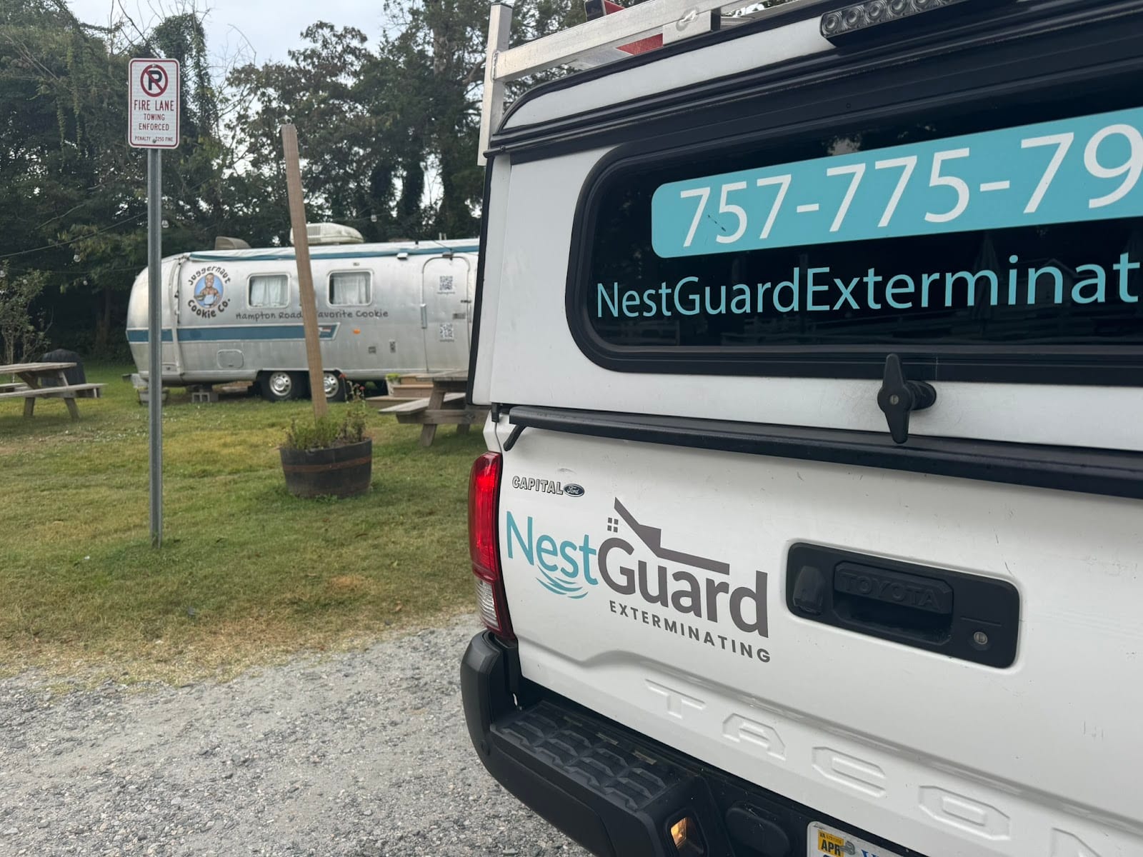 NestGuard Exterminating, photo 4