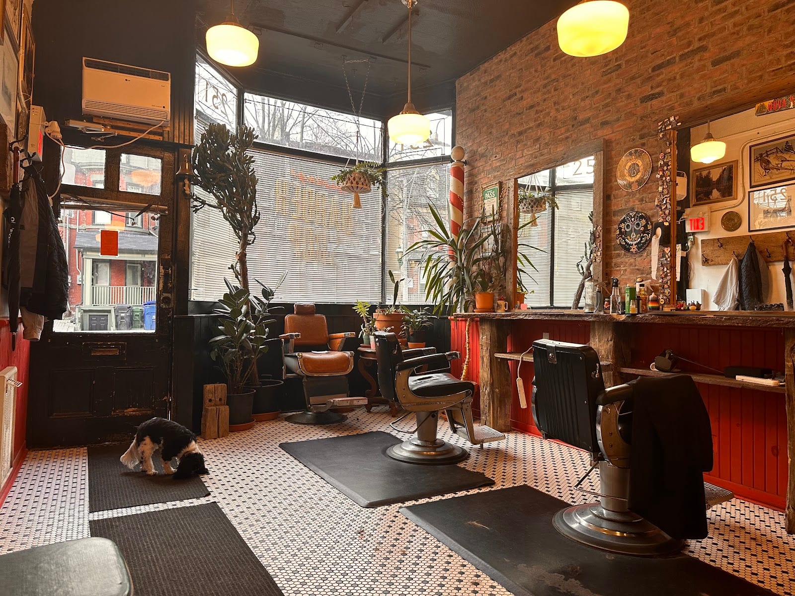 Hastings Barber Shop Cabbagetown, photo 4