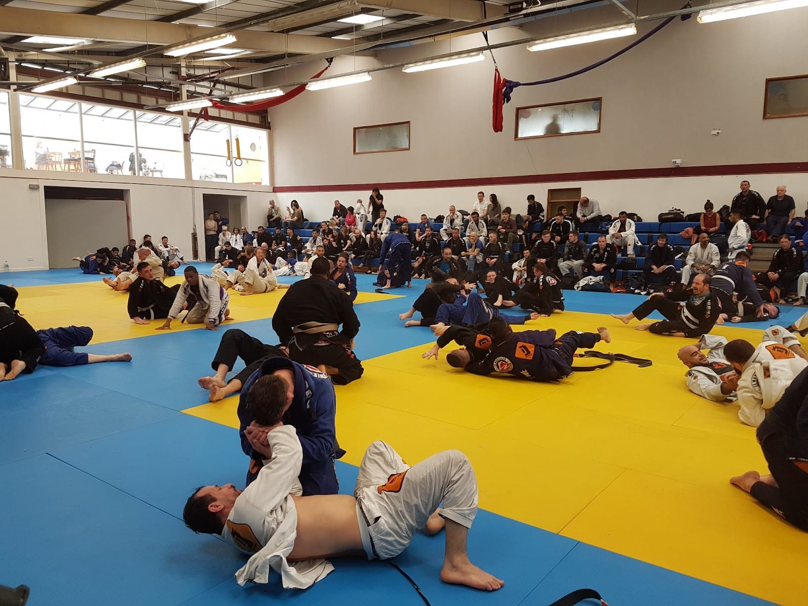 Icon Jiu Jitsu Team