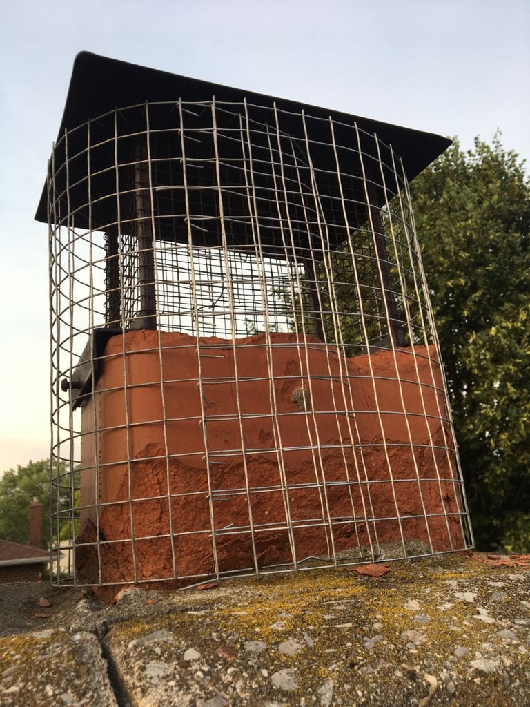 Pest Control Markham