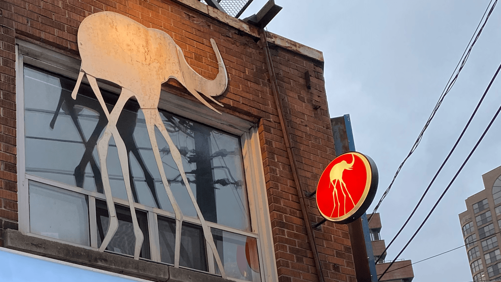 salon de elephant