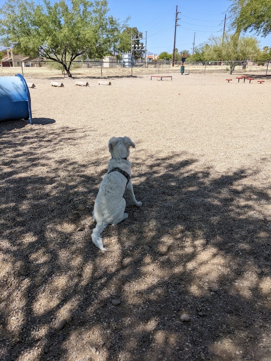 Agave Gulch FamCamp Dog Park, photo 3