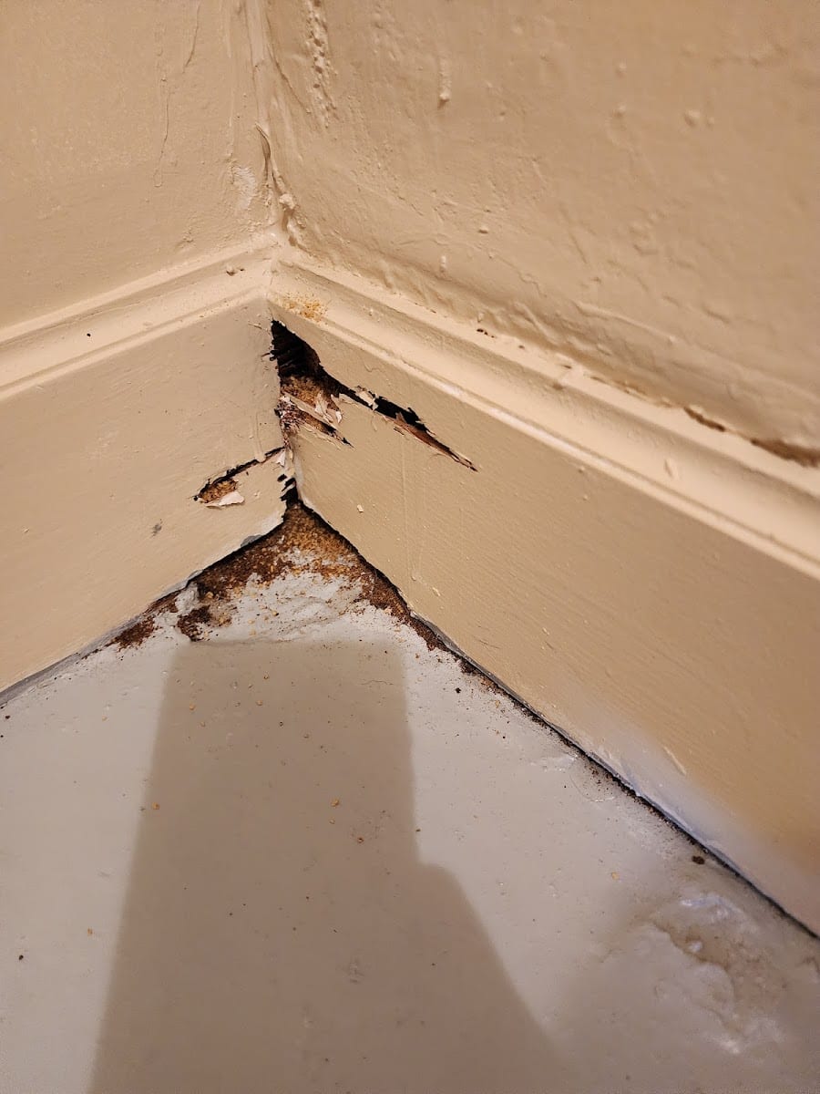 Bartling Pest Control, photo 3