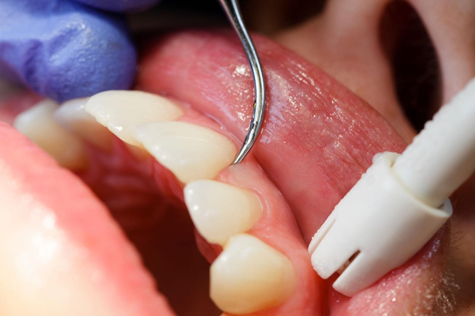 DENTIST PROFIT SYSTEMS LLC, photo 4