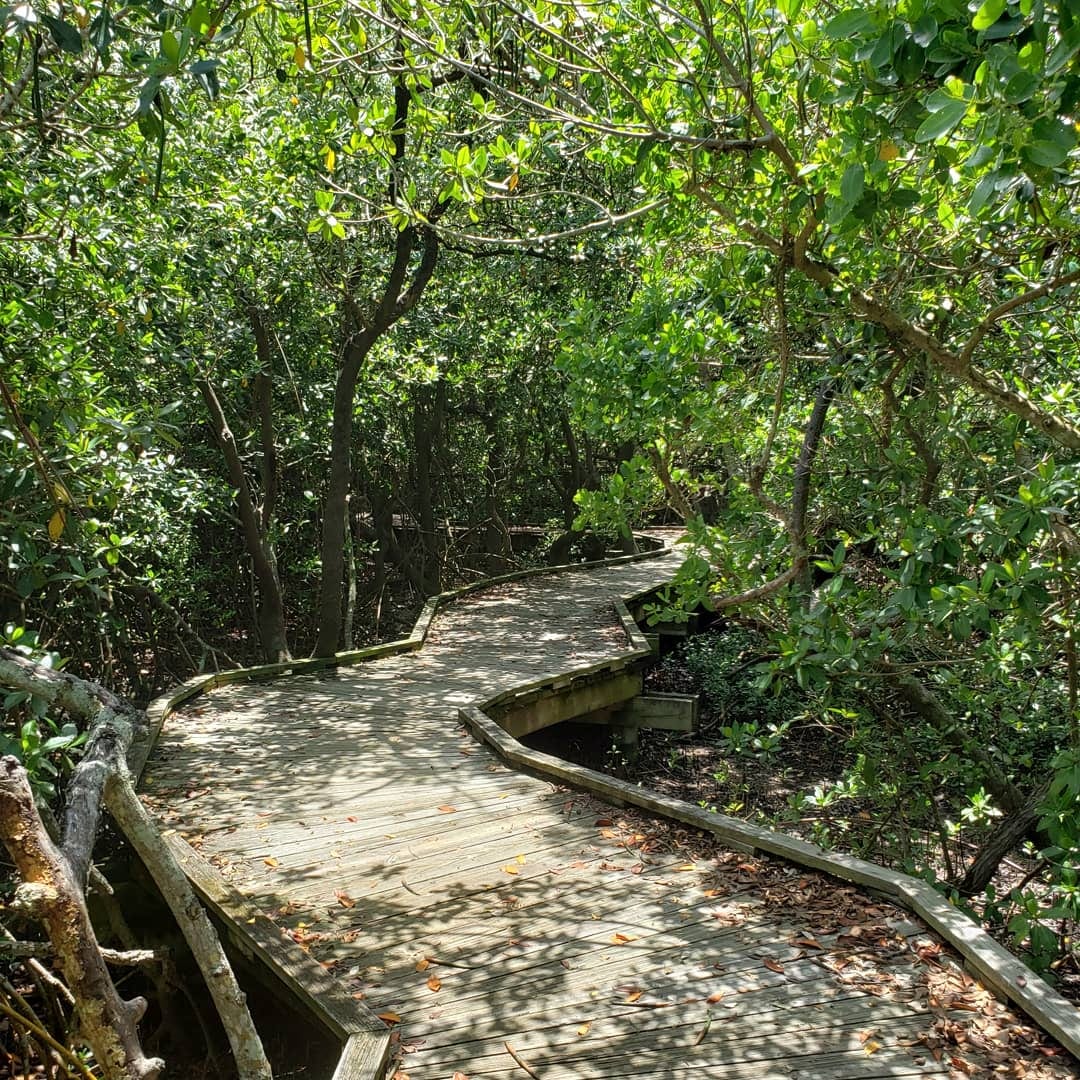 Ken Thompson Park