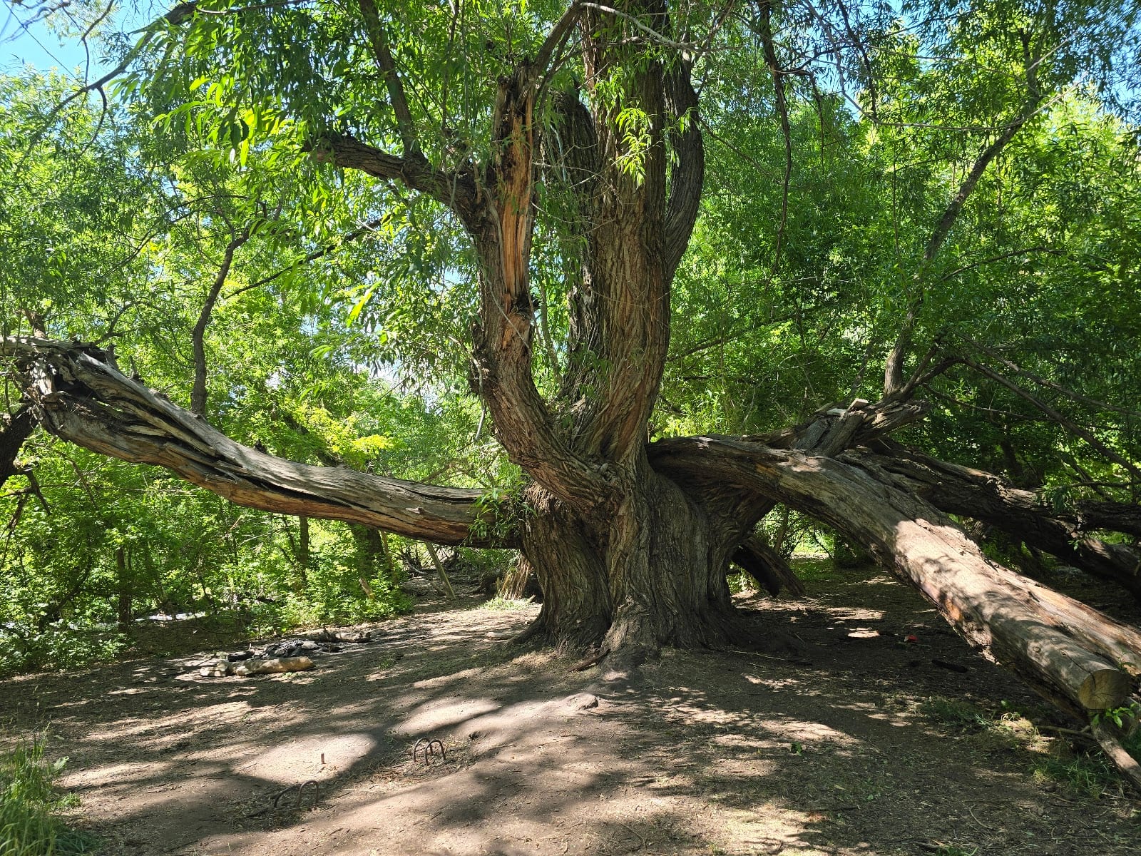 Shoreline and Blacksmith Fork Trailhead