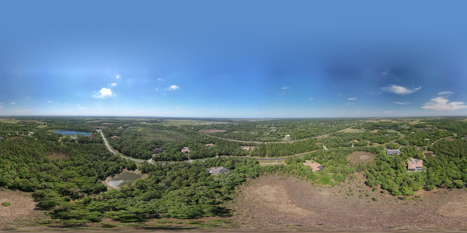 The Forest at Hi Hat Ranch