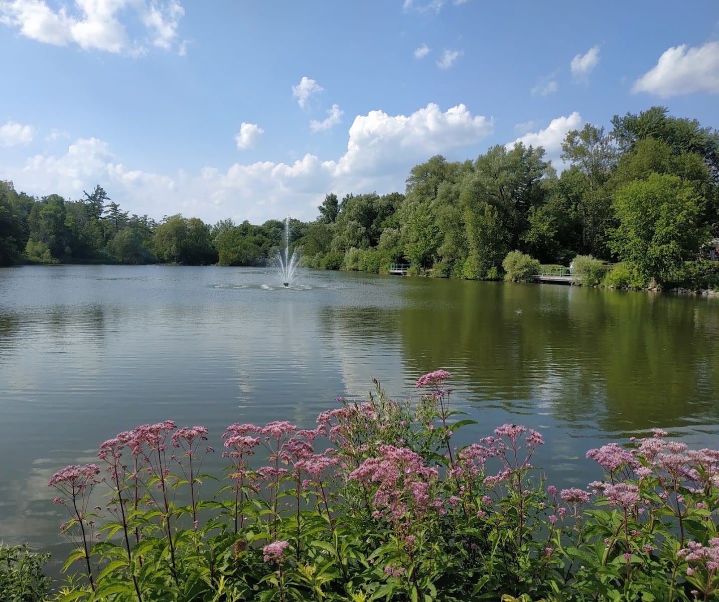 Mill Pond Park