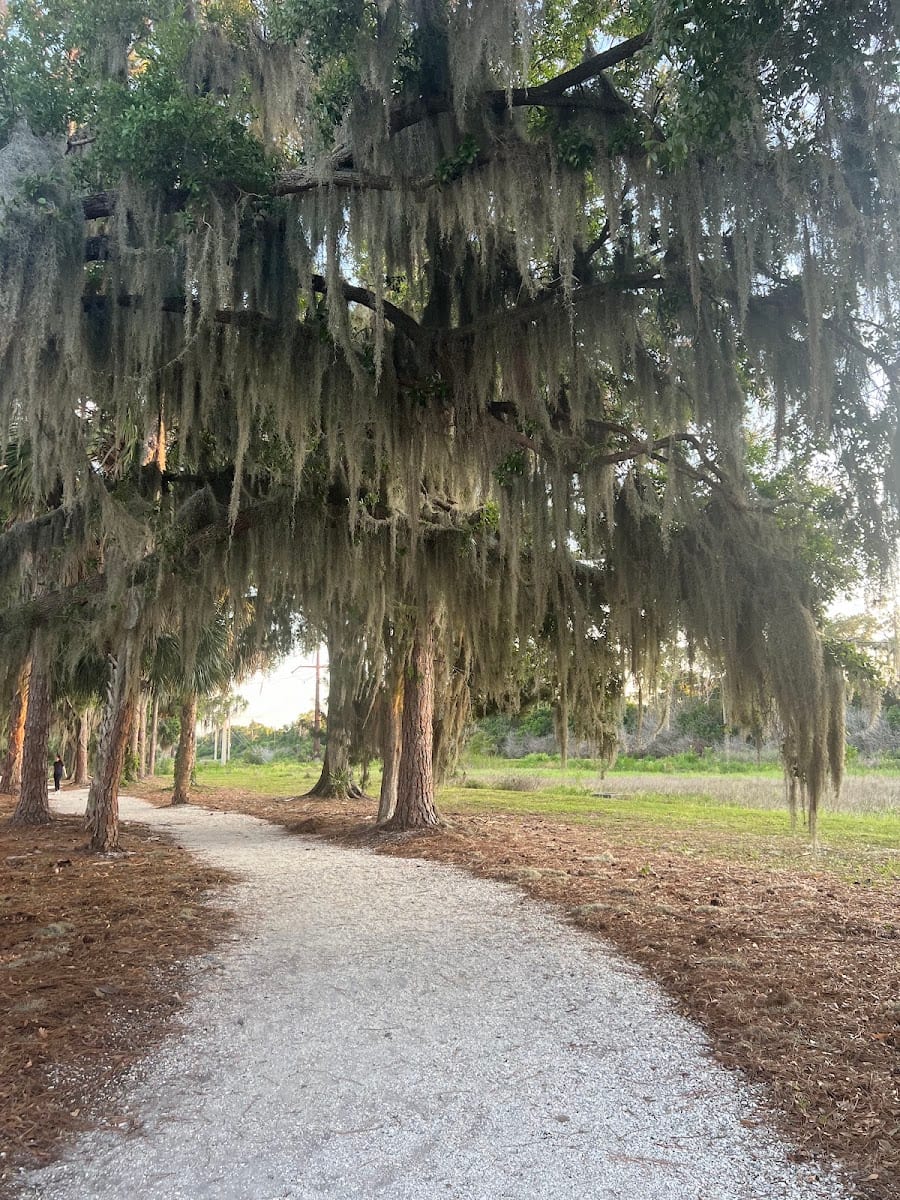 Walking park, photo 3