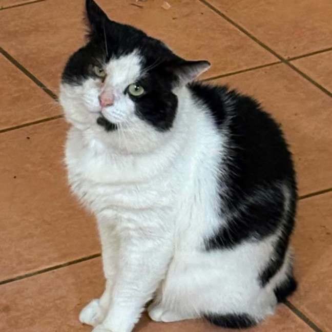 Boris