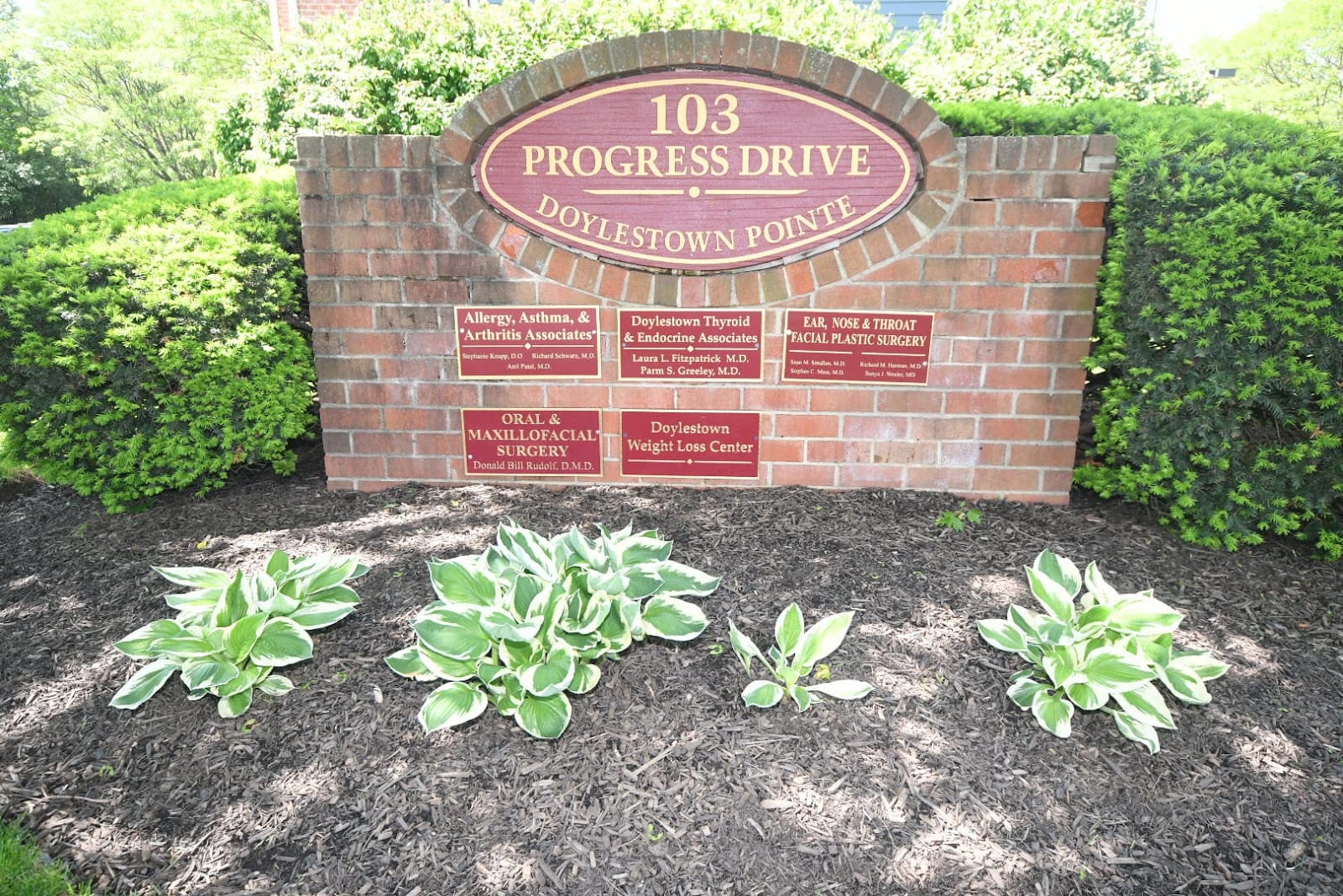 Doylestown Thyroid & Endocrine Associates, LLC, photo 4