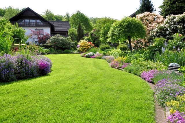 Texas Landscape Services of Dallas/Fort Worth, photo 2