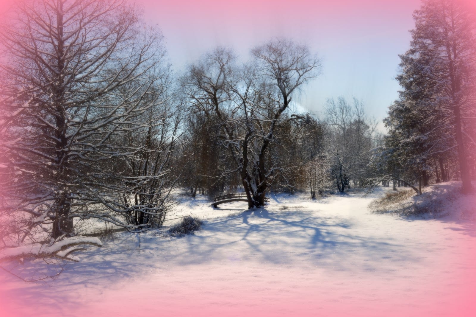 Swinney Park, photo 4